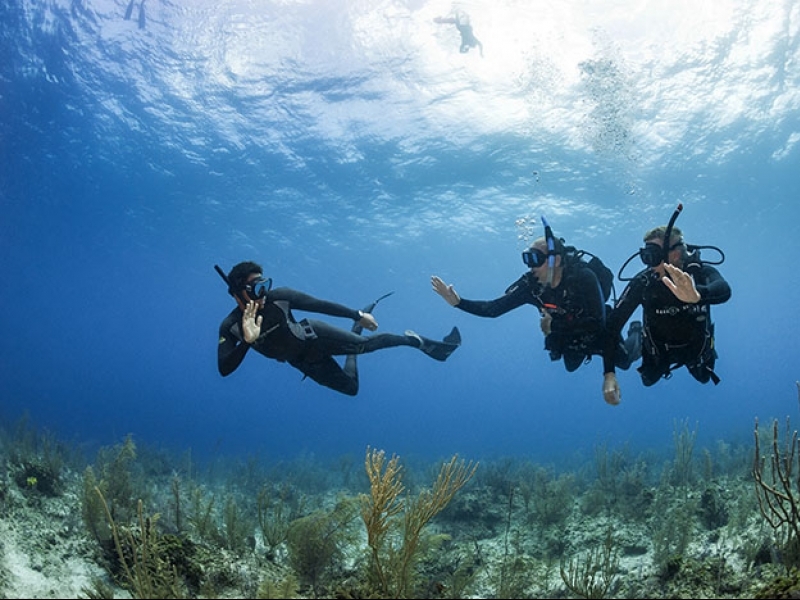 A person freediving with a group of other divers