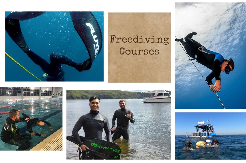 Freediving-Courses-Sydney.jpg