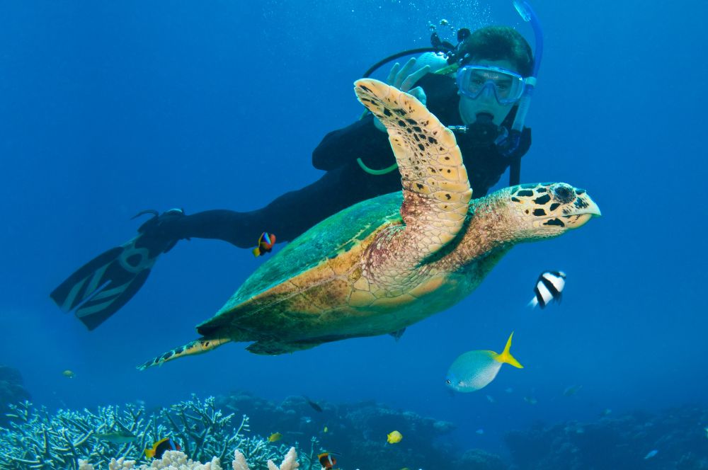 A scuba diver exploring the underwater world after completing the CMAS scuba certification, which typically lasts for how long does scuba certification last.
