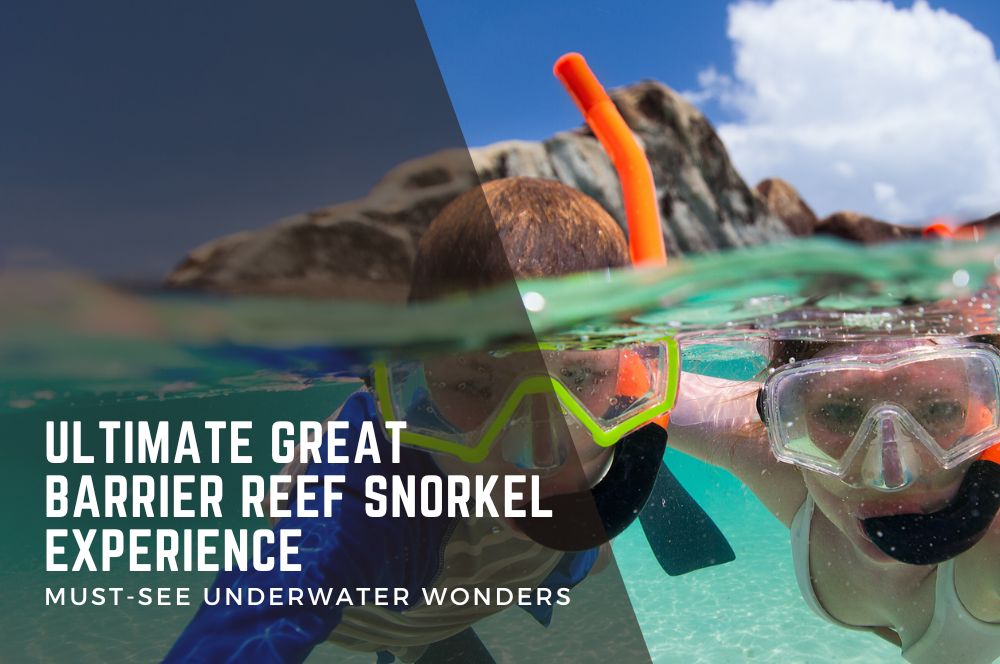 Ultimate Great Barrier Reef Snorkel Experience