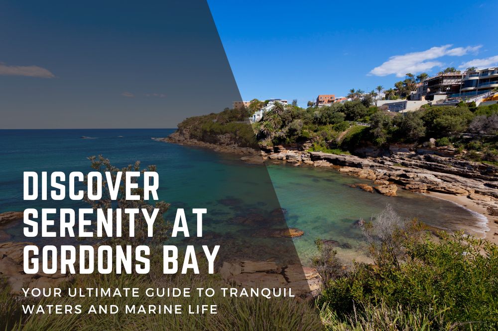 Gordons Bay Sydney Guide: Snorkelling & Secluded Beach Adventures