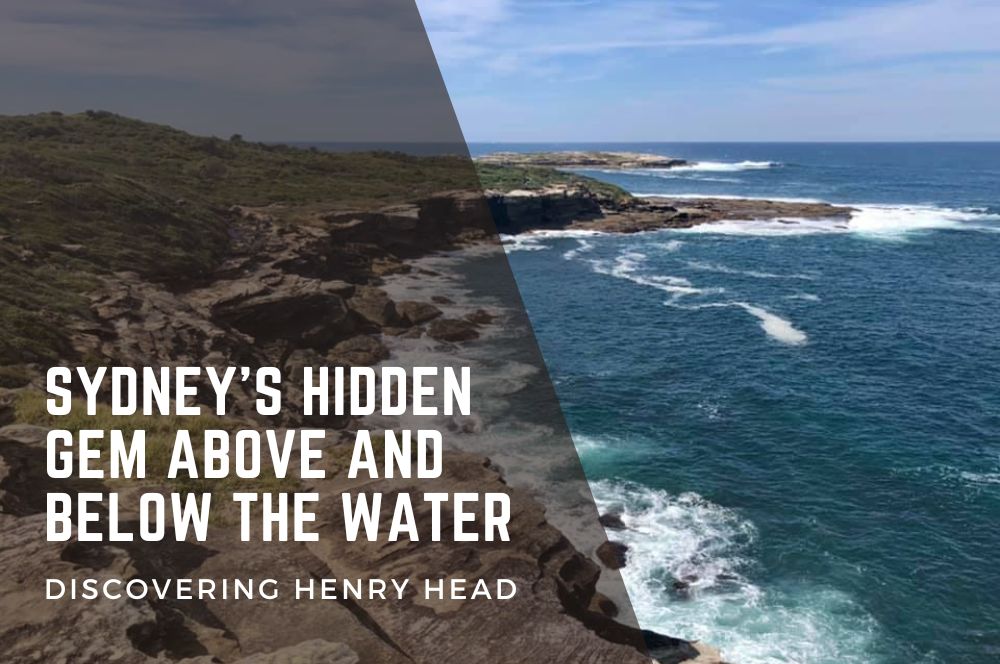Henry Head Sydney's Hidden Gem
