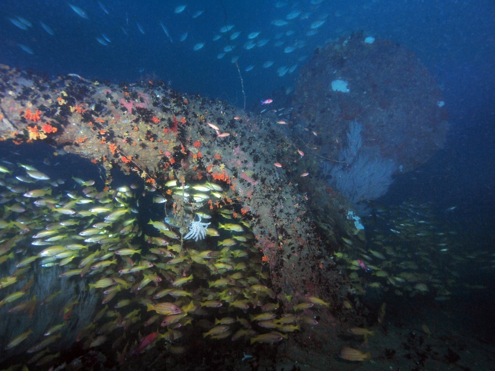 Diving The Hms Hermes