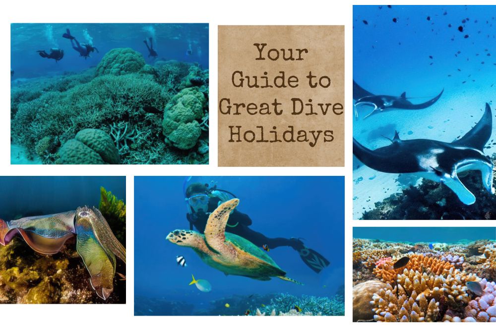 Diving In Australia: Ultimate Guide To Dive Holidays