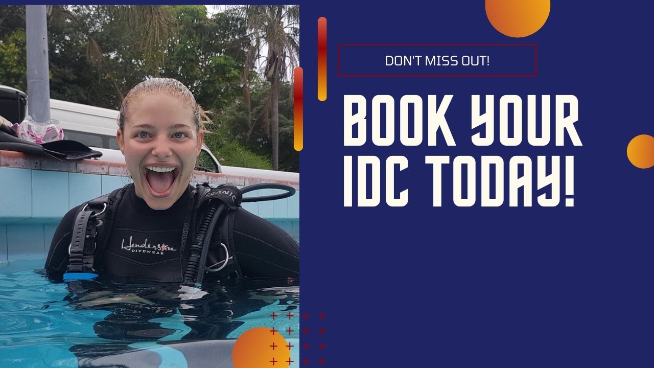 Book your IDC today