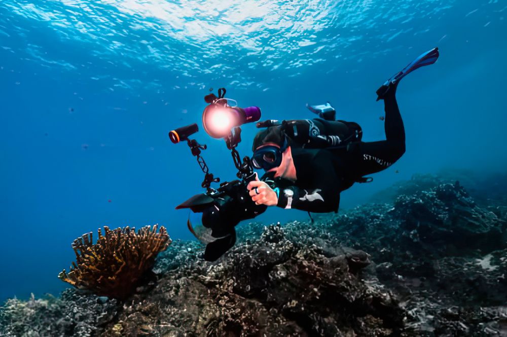 Stable neutral buoyancy ensures the perfect underwater photo