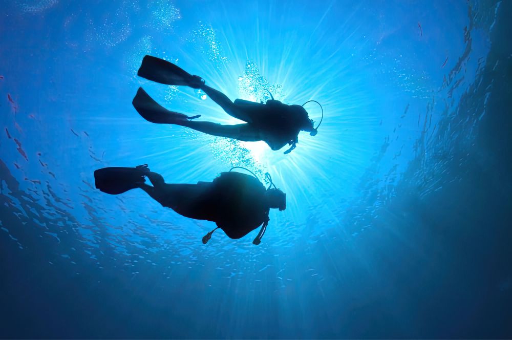 A diver in a wet suit, with scuba gear, exploring the underwater world