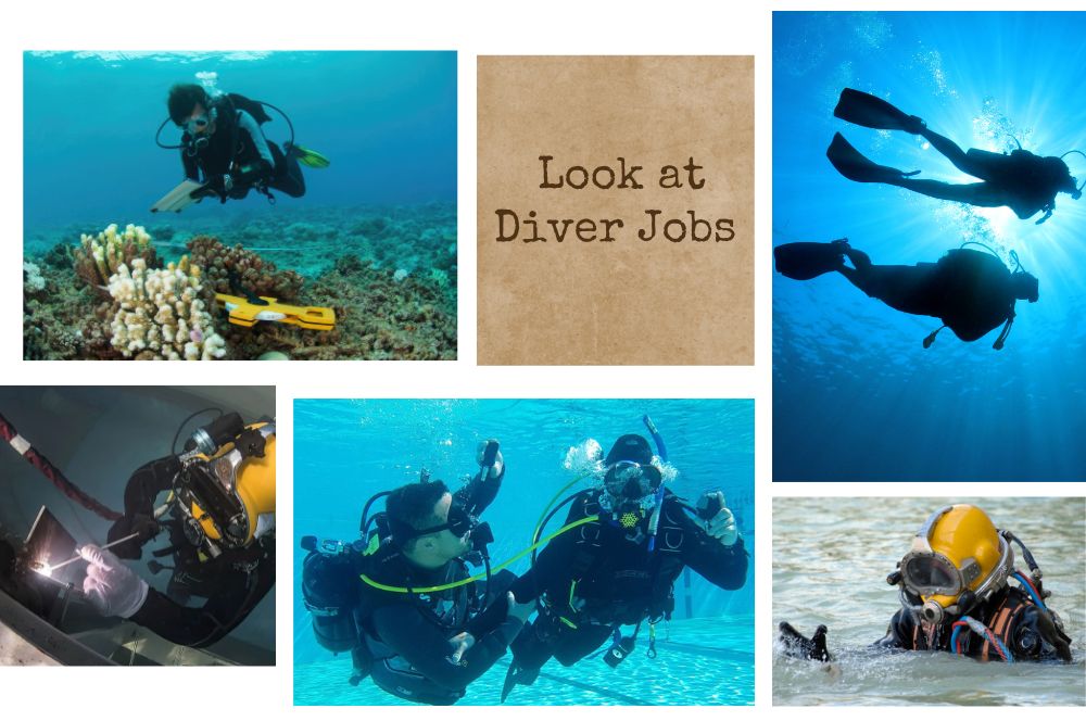 Diving Into a Career: Opportunities…