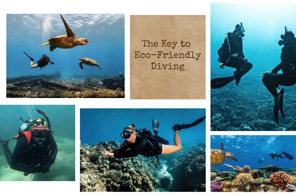 Mastering Buoyancy Control: The Key To Eco-friendly Diving