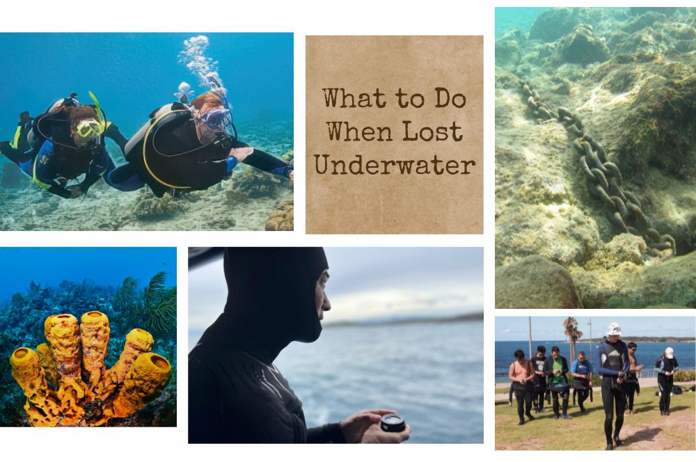 What To Do When Lost Underwater: An Essential Scuba Divers Guide