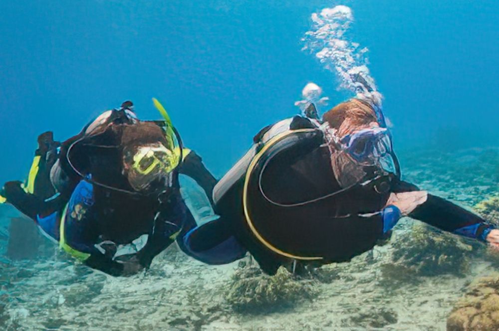 Dive Buddies using a compass underwater