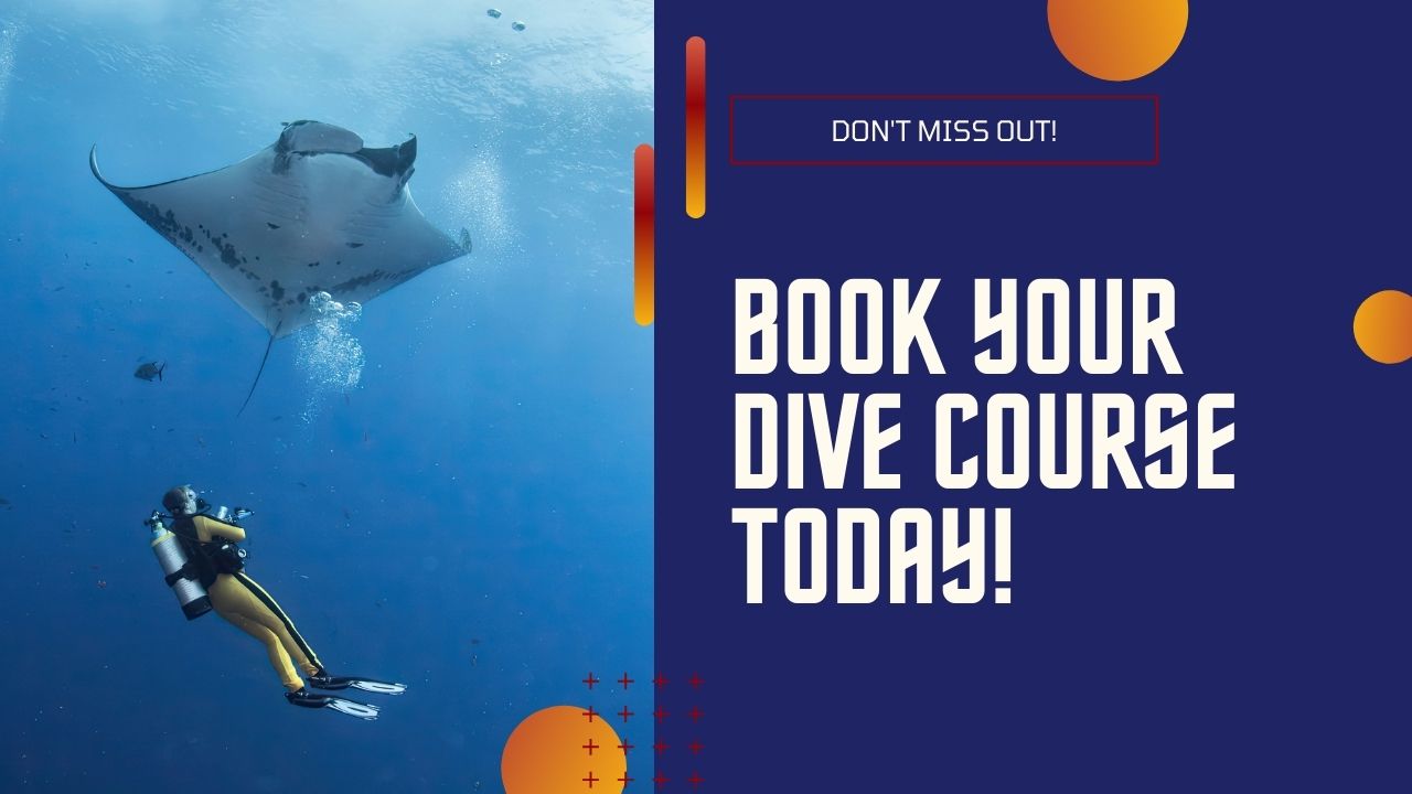 Booy Your Learn to Dive Course Today
