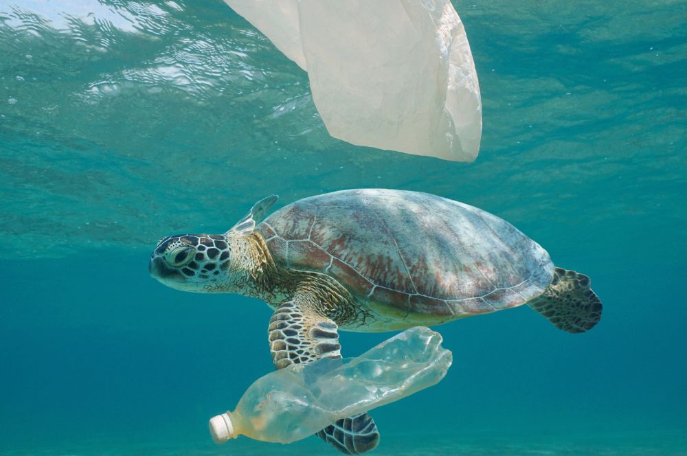Plastic waste polluting the ocean