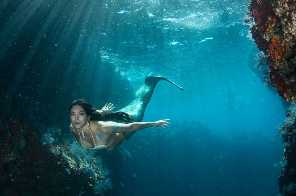 A mermaid swimming gracefully underwater