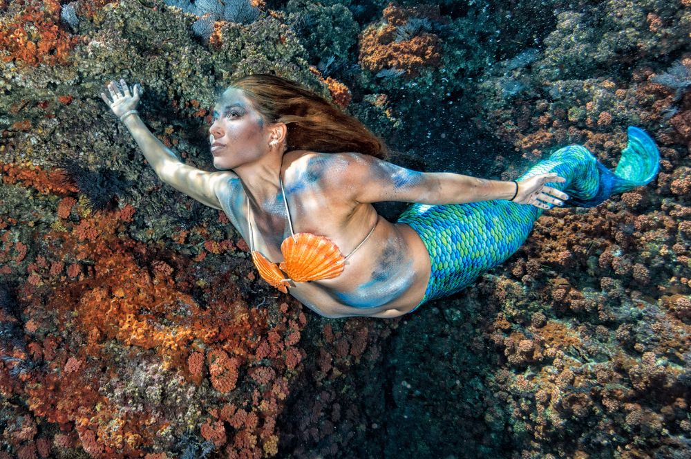 Whimsical modern-day mermaid enjoying a swim