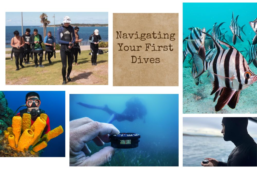 Navigating Your First Dives: An Introduction To Basic Underwater Navigation Skills