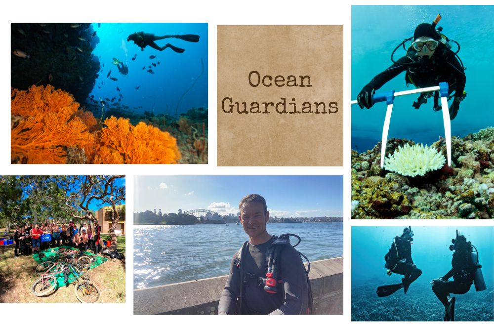 OG-Ocean-Gardians.jpg