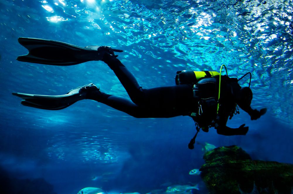 Scuba divers in the ocean, using essential scuba diving equipment