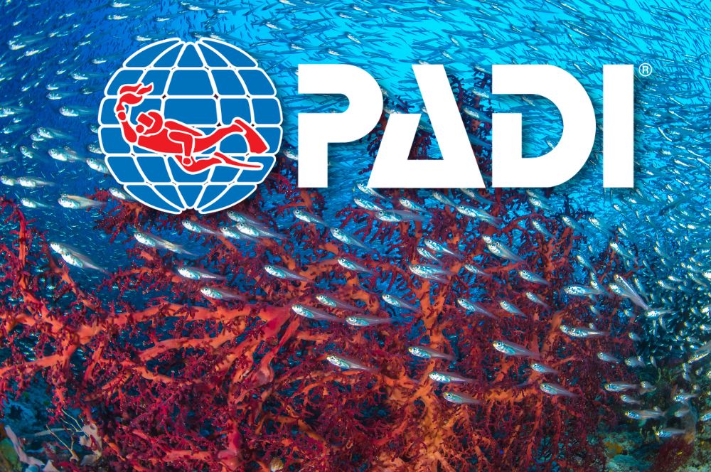 My Padi Pro logo 