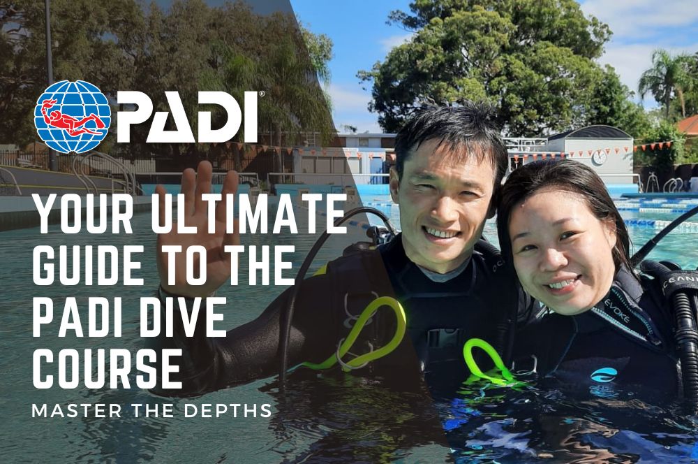 Padi Scuba Certification Guide: Start Your Diving Adventure