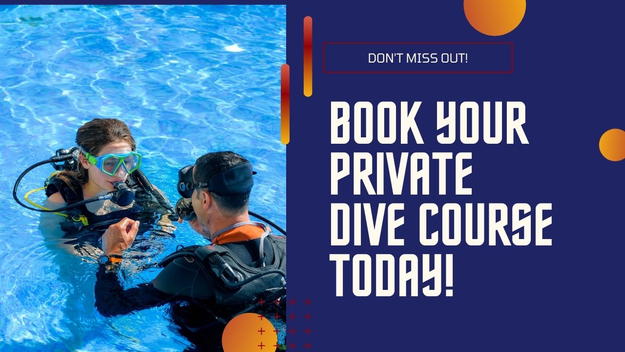 Non-swimmers should book a private, one on one course