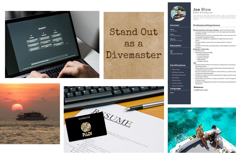 Building Your Diving Resume: How To Stand Out As A Divemaster Intern