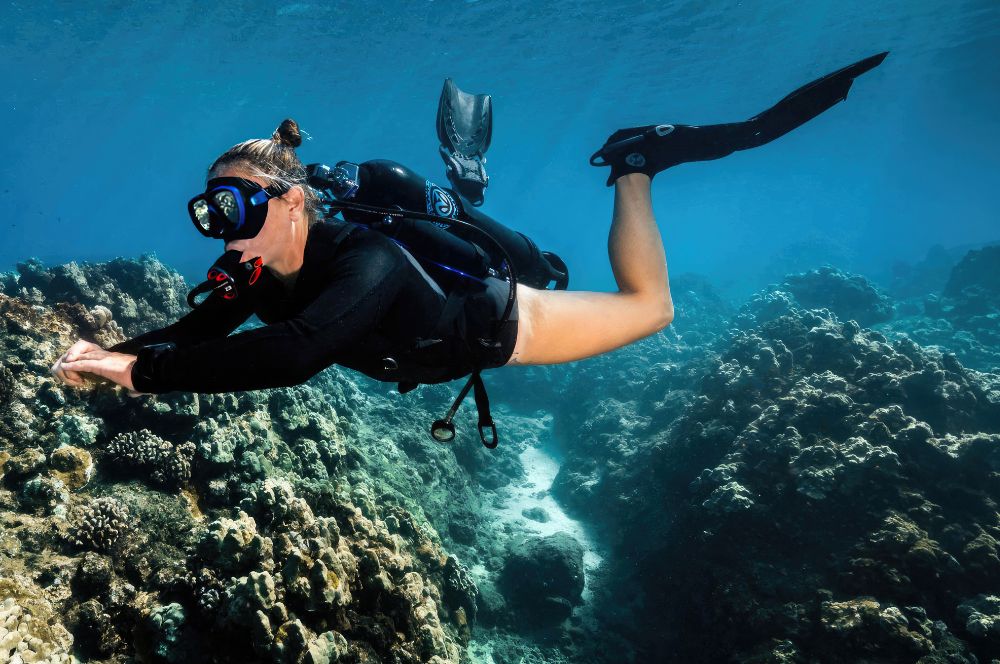 The Avelo Dive System successfully bridges the gap between scuba and freediving