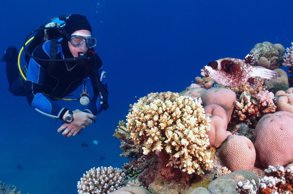 A scuba diver in the underwater world
