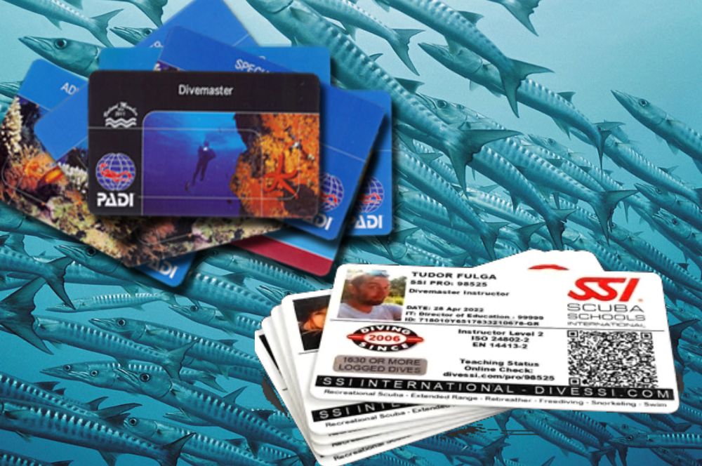 SSI-PADI-Cards.jpg