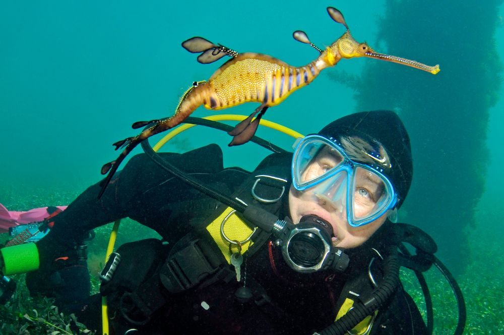 A scuba diver swimming in the underwater world of Victoria