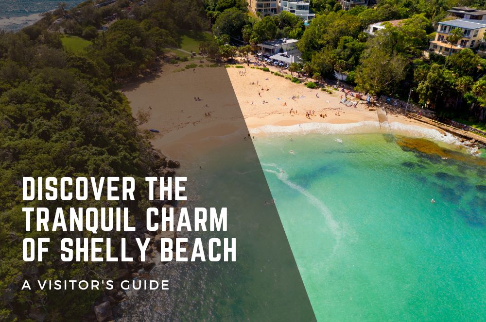Discover The Tranquil Charm Of Shelly Beach: A Visitor's Guide