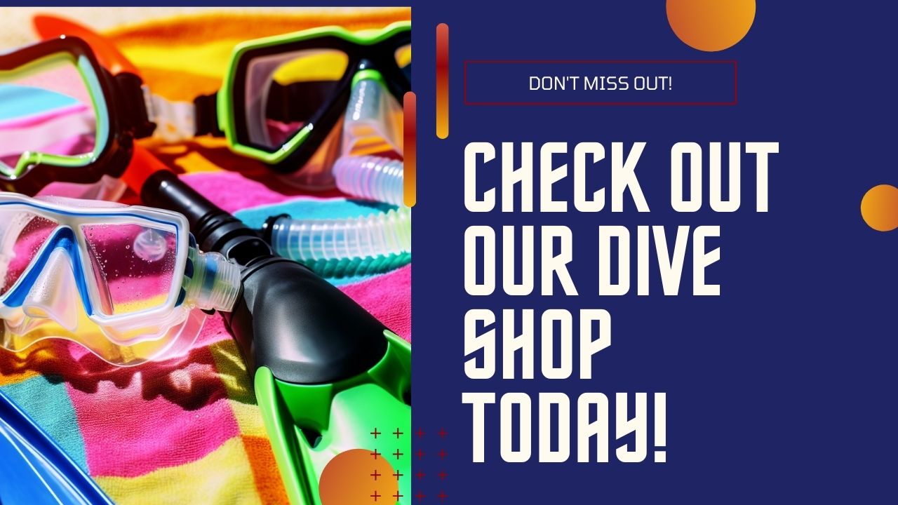 Check out our dive shop today!