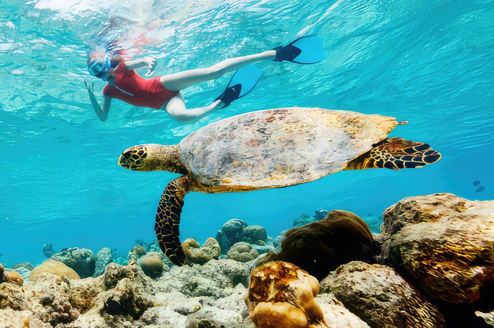 Explore Underwater Wonders: Top Snorkelling Australia Destinations Unveiled