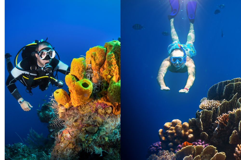 snorkeling and scuba diving depths