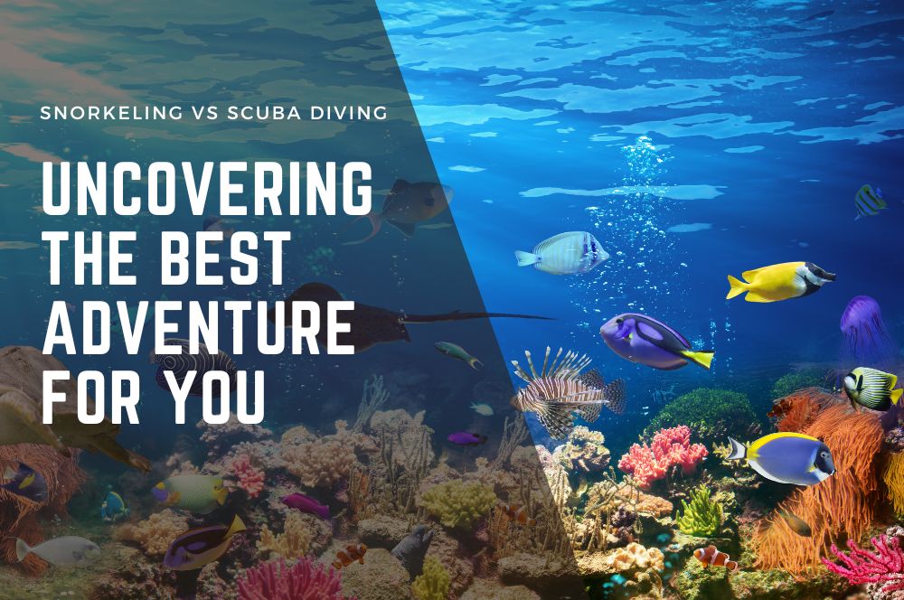 Snorkeling Vs Scuba Diving: Uncovering The Best Adventure For You