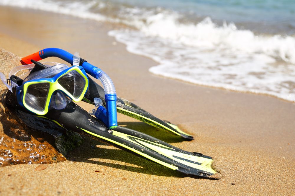 Discovering The Best Spots For Snorkeling In Sydney