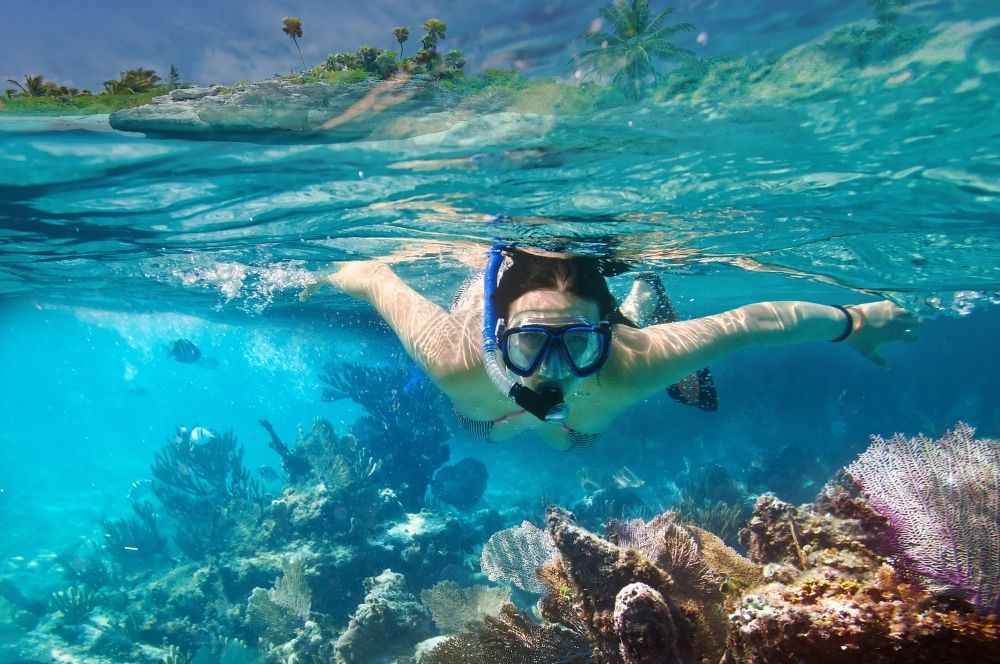 A  snorkeler observing the beautiful marine life and coral reefs