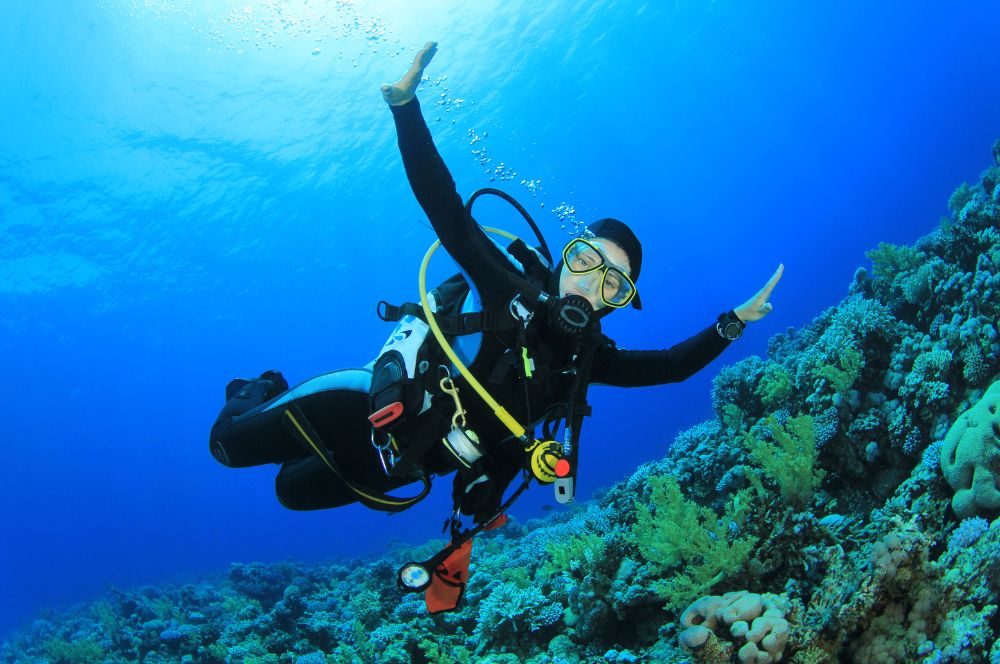 A scuba diver wearing  dive gear with suba tank and buoyancy compensator