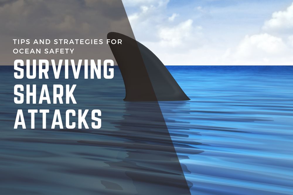 Surviving Shark Attacks: Tips And Strategies For Ocean Safety