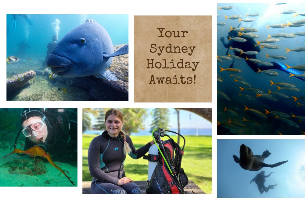 Diving Holiday In Sydney Go Scuba Diving With Abyss Scuba Diving