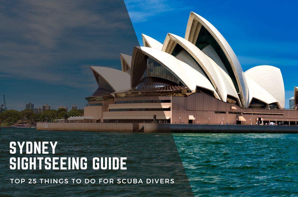 Sydney Sightseeing Guide: Top 25 Things To Do For Scuba Divers 