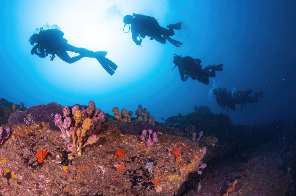 Divers exploring the underwater world near a boat