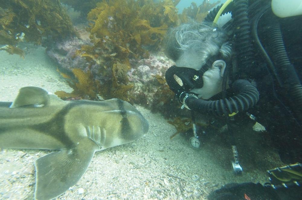 Is It Safe To Scuba Dive With Sharks?