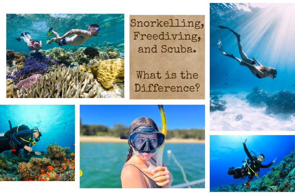 Scuba, Freediving, and Snorkeling:…