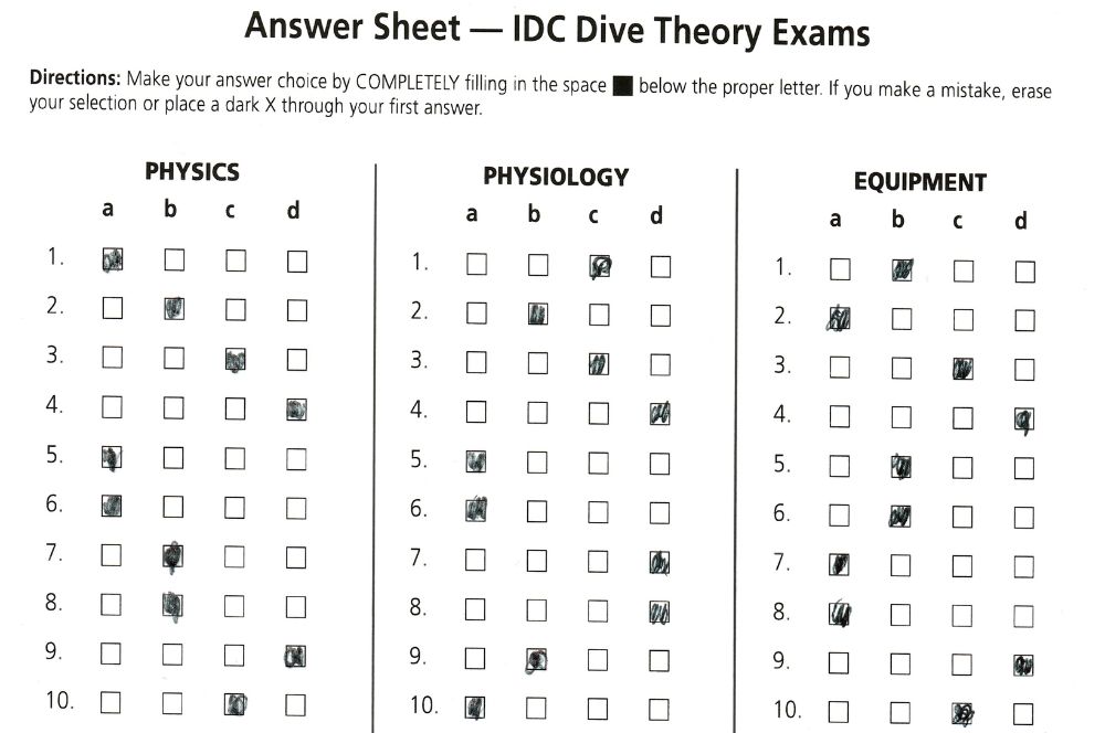 What Is The Importance Of Dive Theory To An Idc Candidate