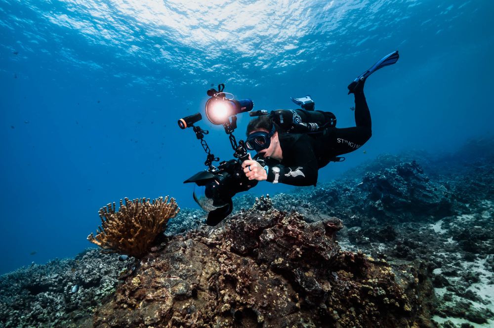 Underwater photographer diving the Avelo System