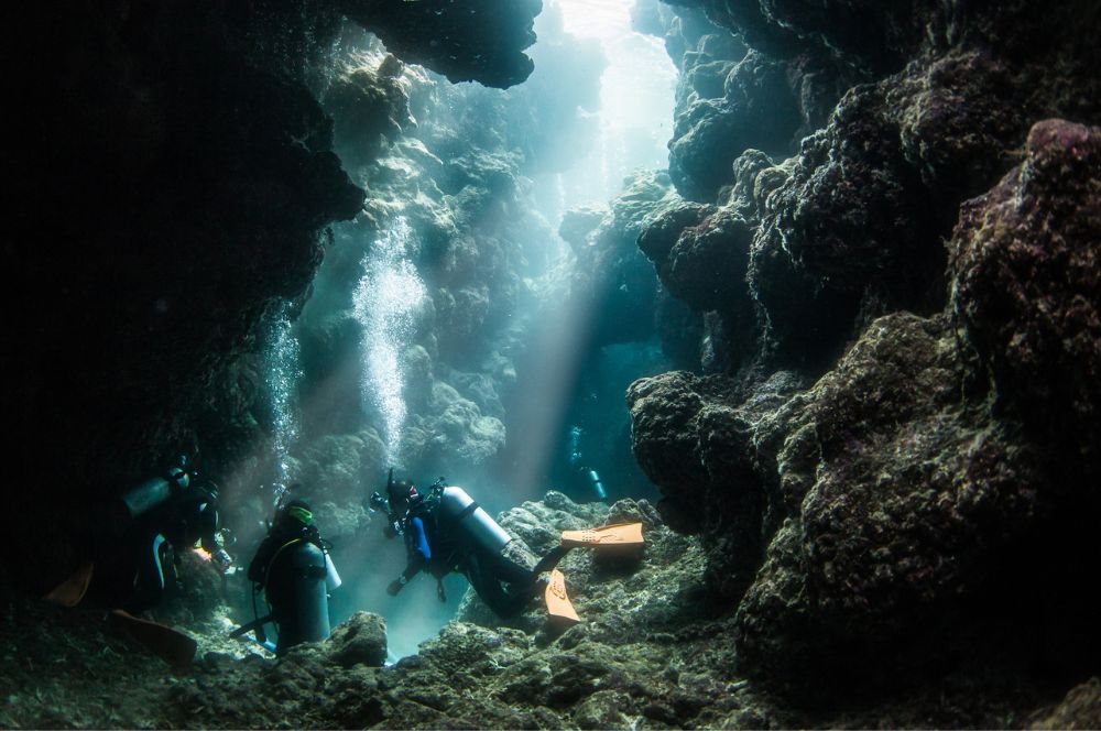 Scuba divers exploring the underwater world