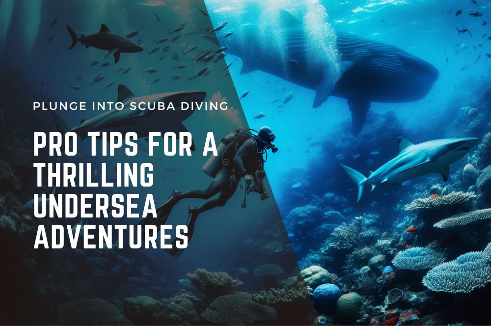 Plunge Into Scuba Diving: Pro Tips For A Thrilling Undersea Adventures