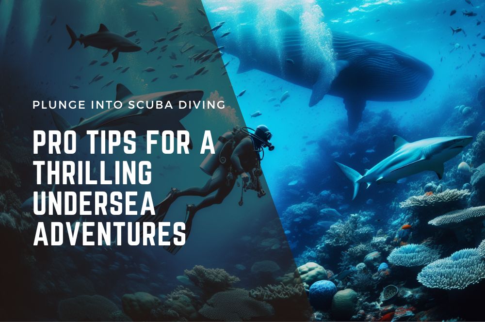 Plunge into Scuba Diving: Pro Tips…