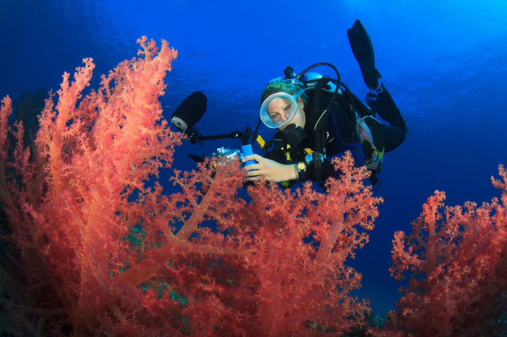 Underwater photographers show the world the underwarer world